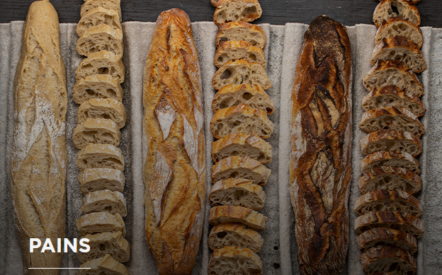 Capture d'écran 2026-02-24 094249